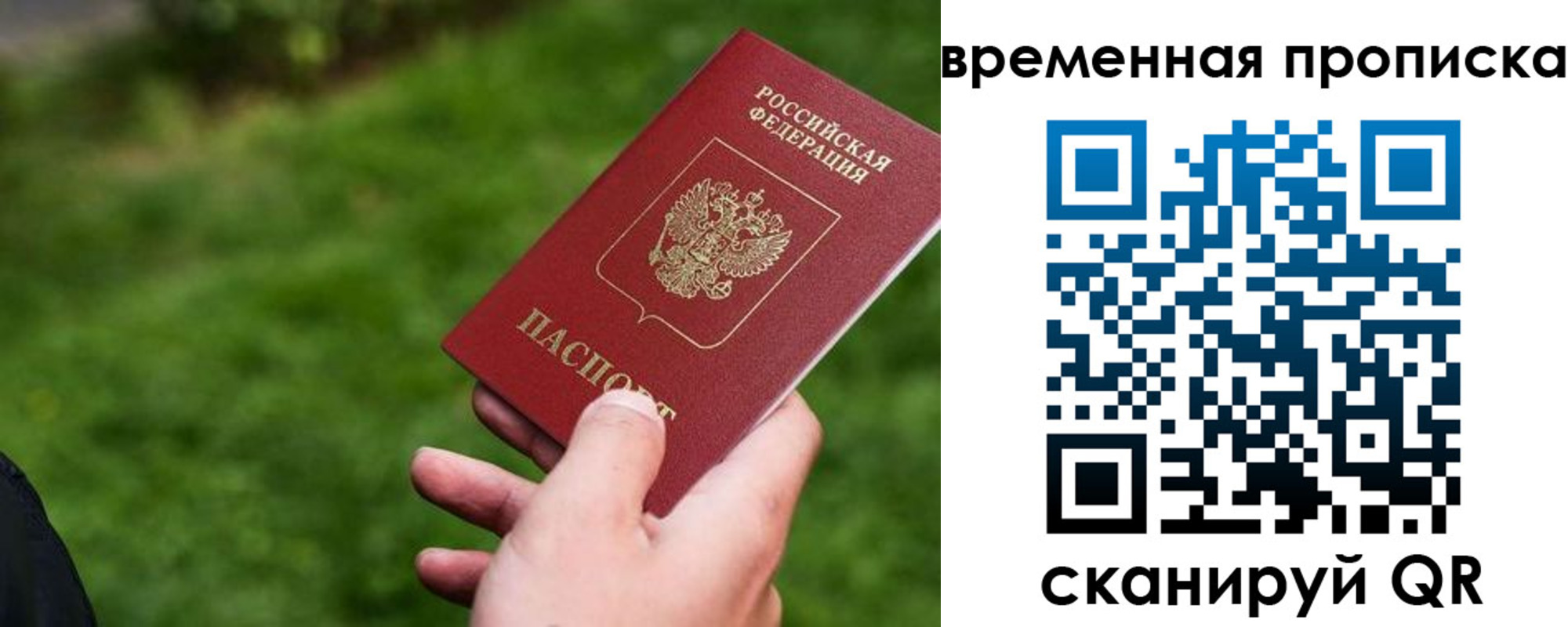 прописка 2025 в Рошале